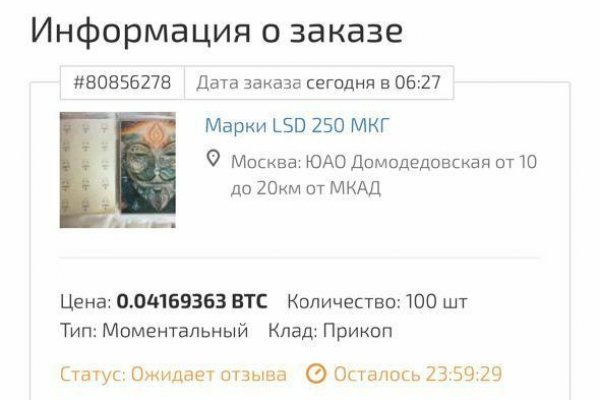 Гидра и кракен